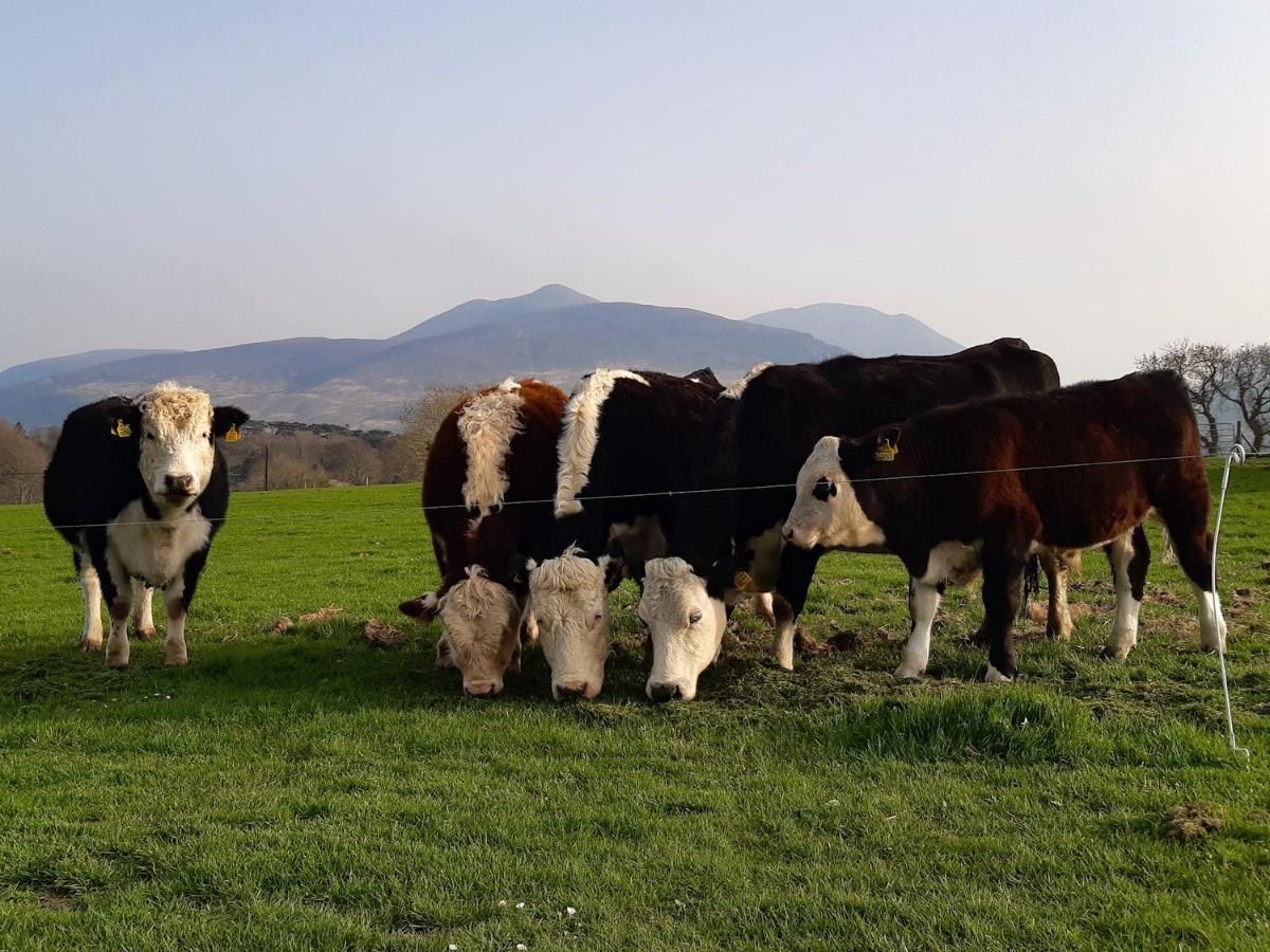 Inveraray Farm Beaufort エクステリア 写真