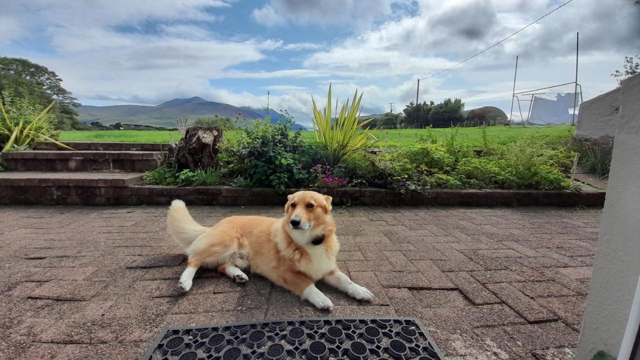 Inveraray Farm Beaufort エクステリア 写真
