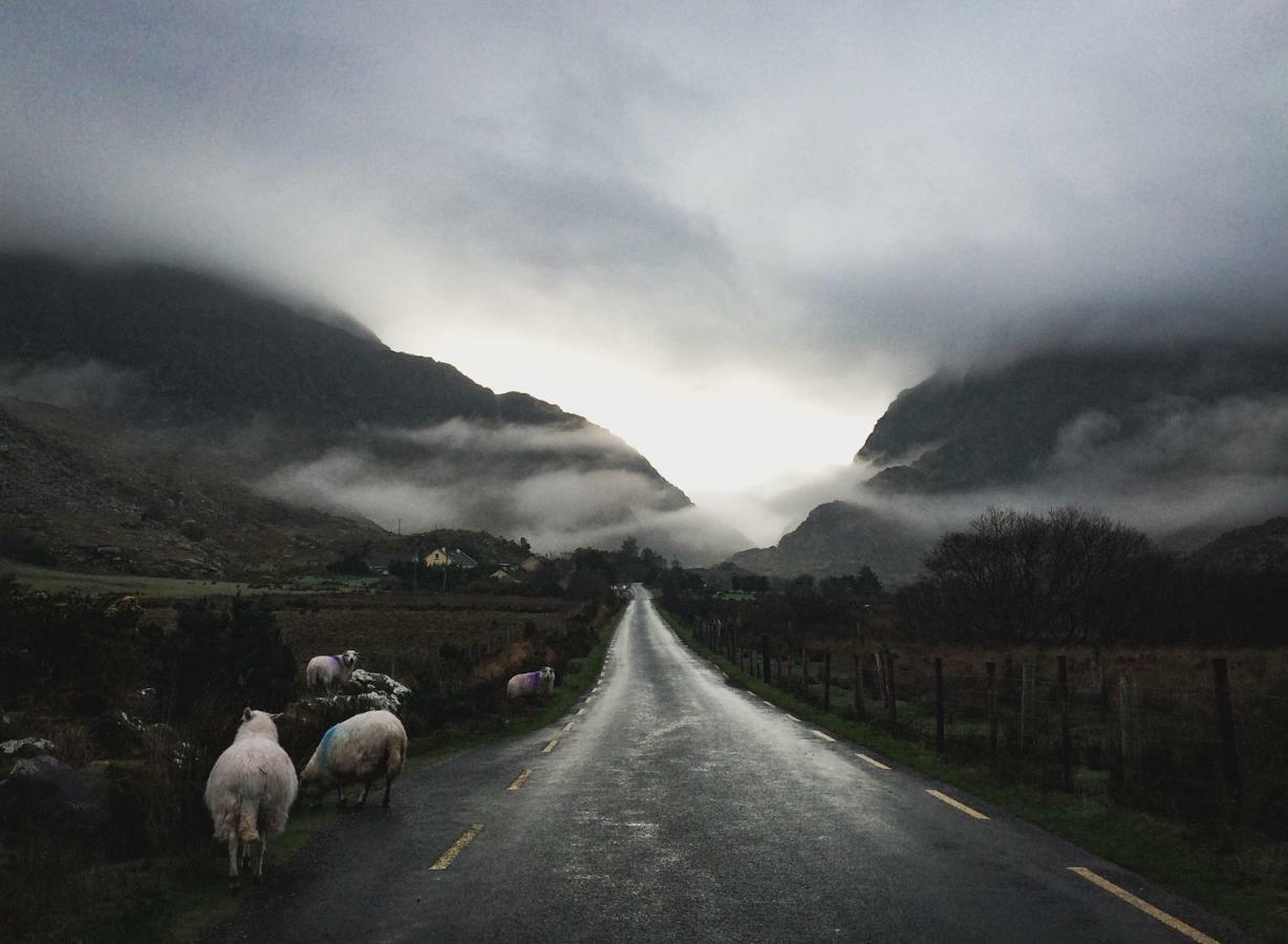 Inveraray Farm Beaufort エクステリア 写真