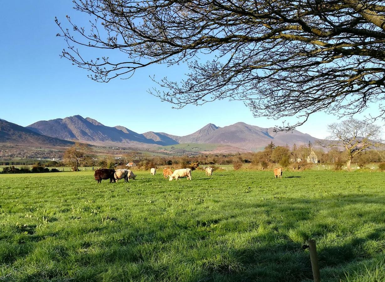 Inveraray Farm Beaufort エクステリア 写真