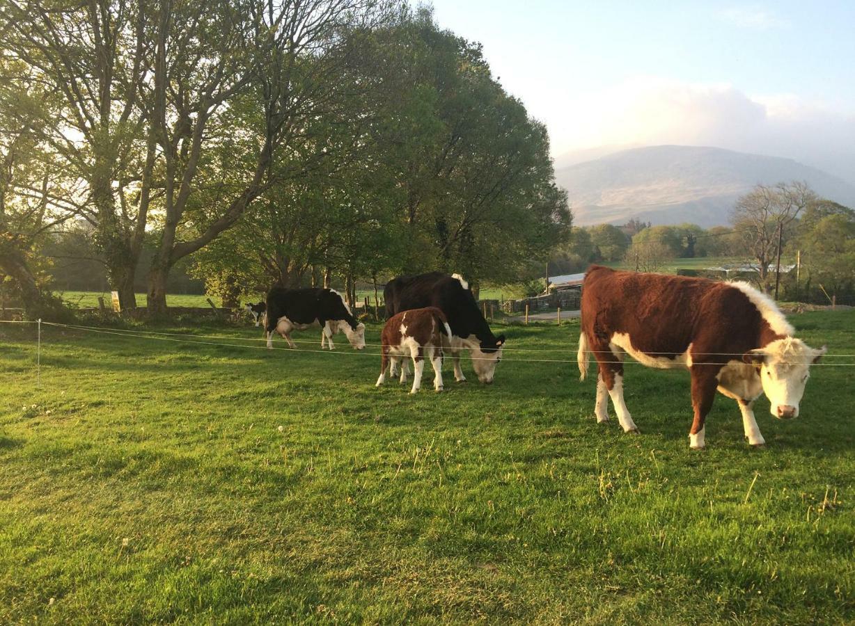 Inveraray Farm Beaufort エクステリア 写真